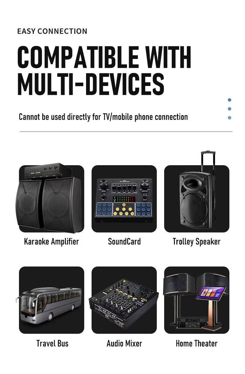 Hridz CT-60S 6-Channel Mixer & U8 Wireless Mic Bundle