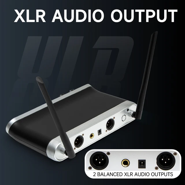 Hridz Ultimate Bundle - Professional 12 channels Audio Mixer & Wireless Mics Karaoke