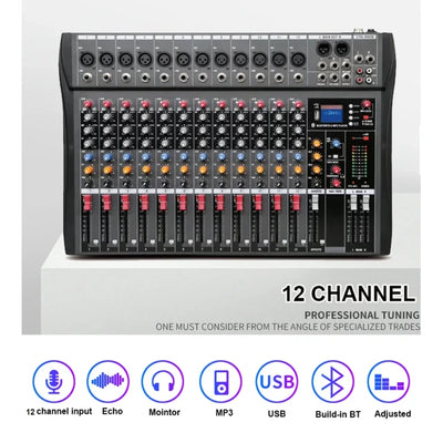 Hridz CT-120S Pro 12-Channel Outdoor Audio Mixer