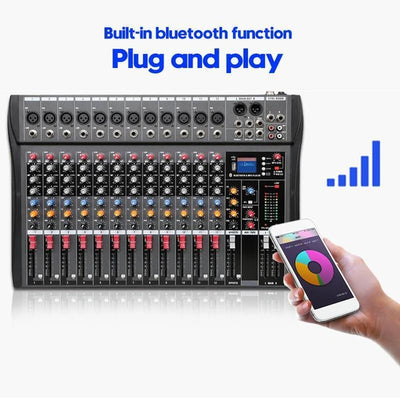 Hridz CT-120S Pro 12-Channel Outdoor Audio Mixer