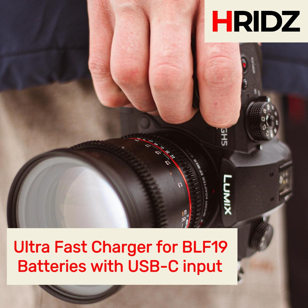 Hridz BLK22 2 Batteries & Dual Charger Kit for Panasonic Lumix S5/GH5/G9/GH5s/GH6