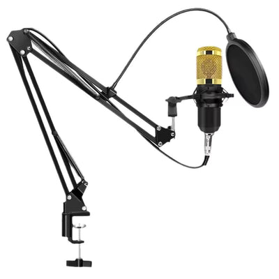 Hridz BM-800 Gold Studio Condenser Microphone Kit with Boom Arm & Pop Filter