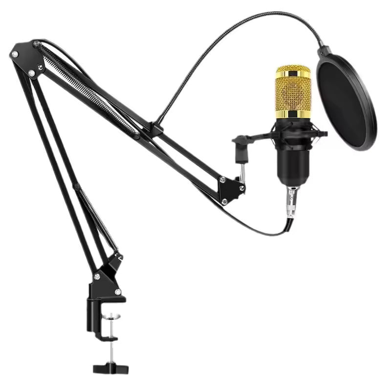 Hridz BM-800 Gold Studio Condenser Microphone Kit with Boom Arm & Pop Filter