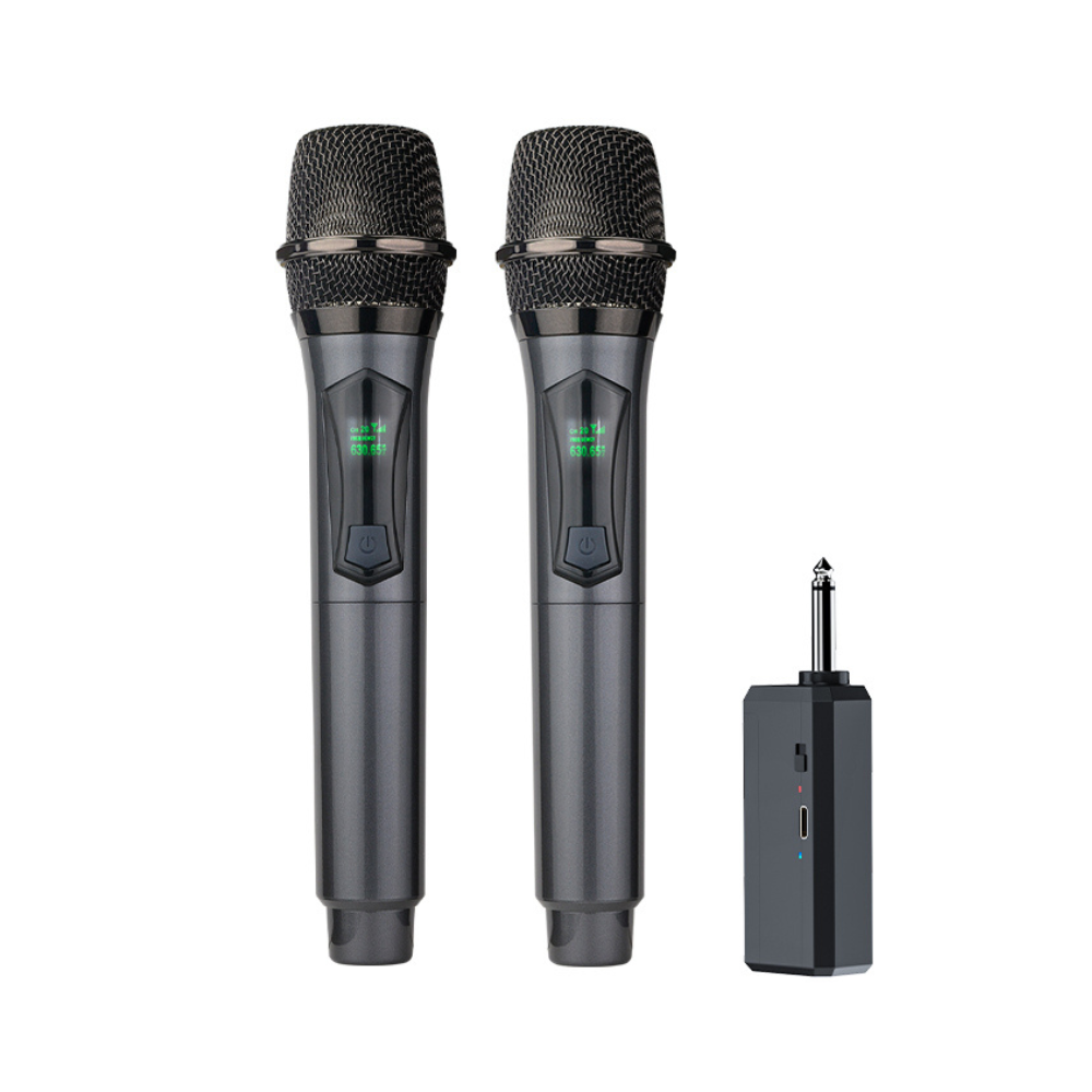 Hridz U8 Rechargeable 2.4GHz Dual Wireless Microphone System for Karaoke, DJ Live Performances